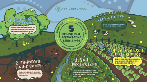 5-Principles 5-Principles