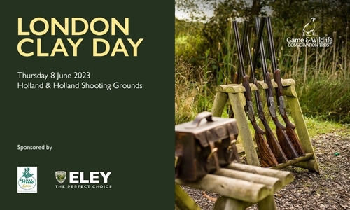 IMAGES 600PX X 360PX DRAFT 2 [150PPI]2 (1)