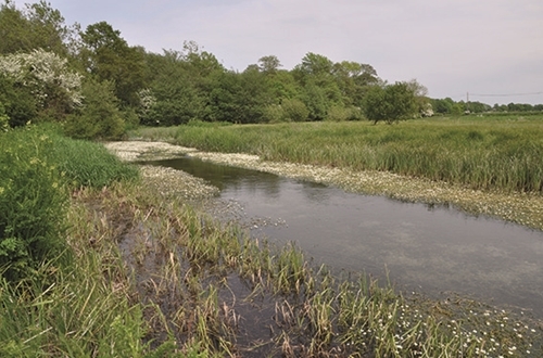 12 Spring Chalk Stream PT 12 Spring Chalk Stream PT