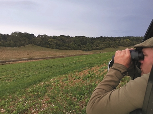 29 Counting 29 Counting