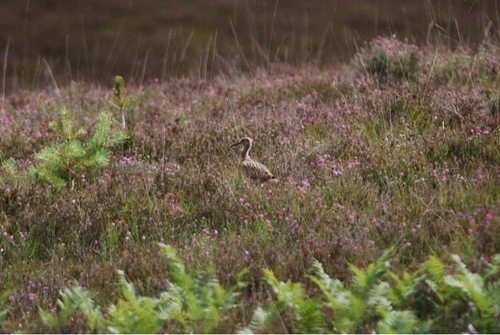 52aadb 2f -93cf -4a 09-9b 1e -adc 43ddd 0c 12 52aadb 2f -93cf -4a 09-9b 1e -adc 43ddd 0c 12