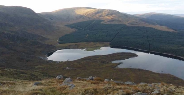 Patricklaurie Patricklaurie