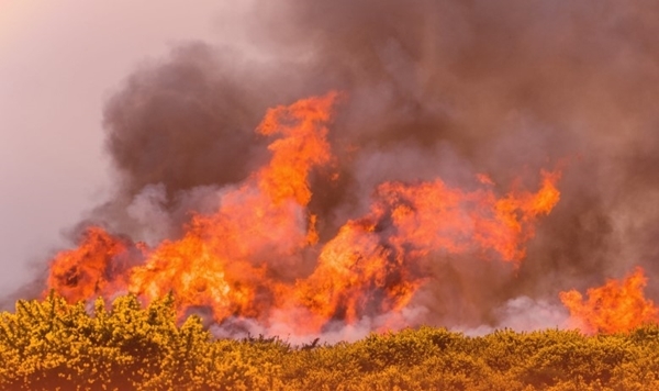 Screenshot 2023-04-24 092352 Screenshot 2023-04-24 092352