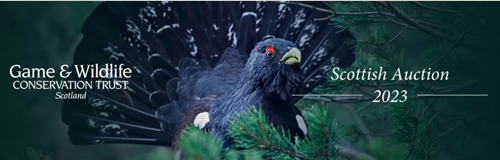 B 32fce 42-56a 4-2ede -106c -2cb 6181acc 43