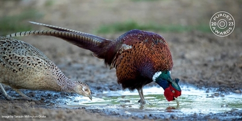 Screenshot 2023-05-04 075141 Screenshot 2023-05-04 075141