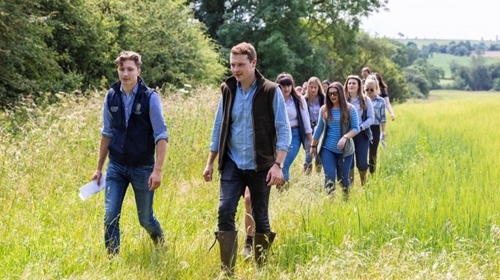 Bef 6f 579-6b 2a -7960-9187-a 4cfb 369b 9c8