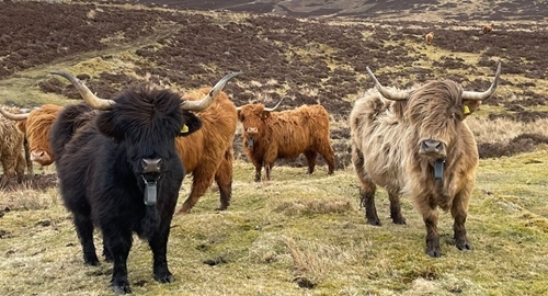 A 4e 1e 36f -4294-c 344-5c 9b -44180712205d