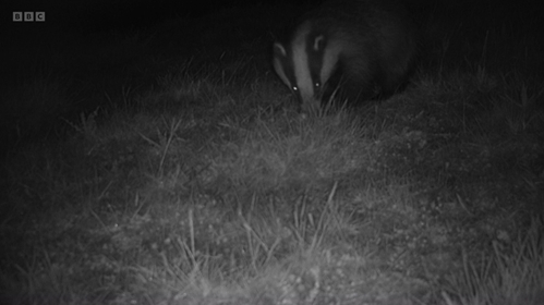 Countryfile2 Countryfile2