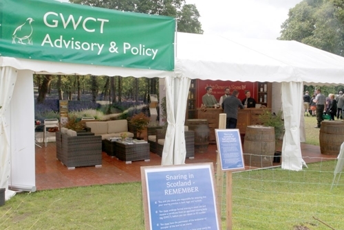 Scone Fair Sun _127 Scone Fair Sun _127