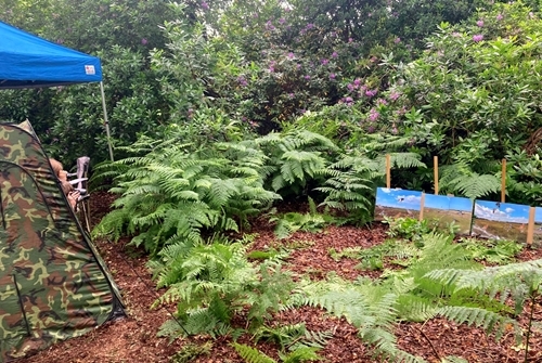 Open Farm Sunday 2023