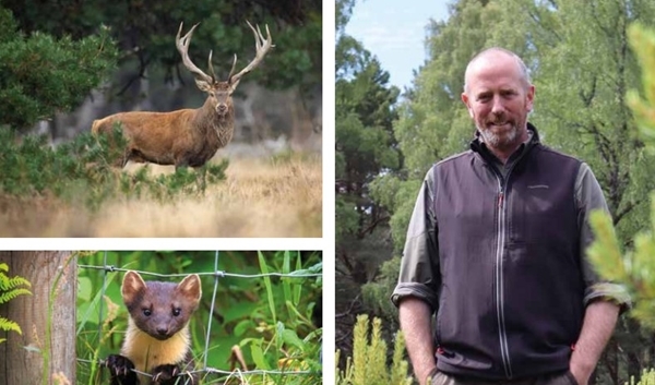 Screenshot 2023-06-22 090738