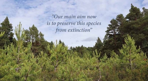 Screenshot 2023-06-22 090713