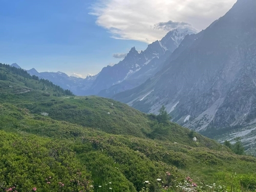 Whats App Image 2023-07-11 At 17.47.41 Whats App Image 2023-07-11 At 17.47.41