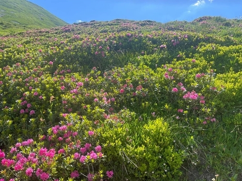 Whats App Image 2023-07-11 At 17.50.22 Whats App Image 2023-07-11 At 17.50.22