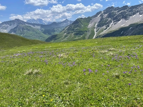 Whats App Image 2023-07-11 At 17.52.13 Whats App Image 2023-07-11 At 17.52.13