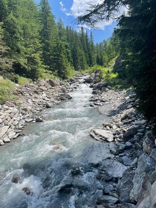 Whats App Image 2023-07-11 At 17.52.37 Whats App Image 2023-07-11 At 17.52.37