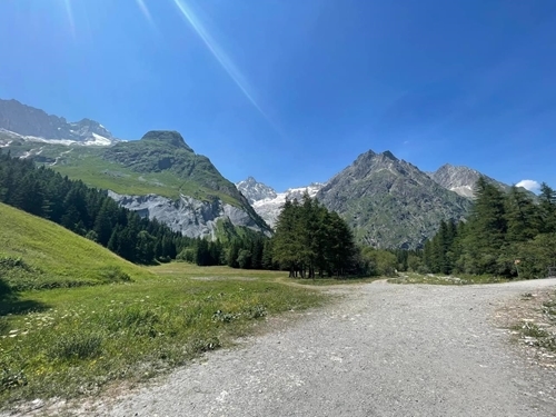 Whats App Image 2023-07-11 At 17.53.34 Whats App Image 2023-07-11 At 17.53.34