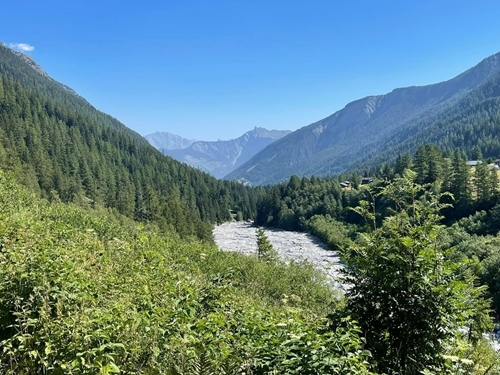 Whats App Image 2023-07-11 At 17.57.56 Whats App Image 2023-07-11 At 17.57.56