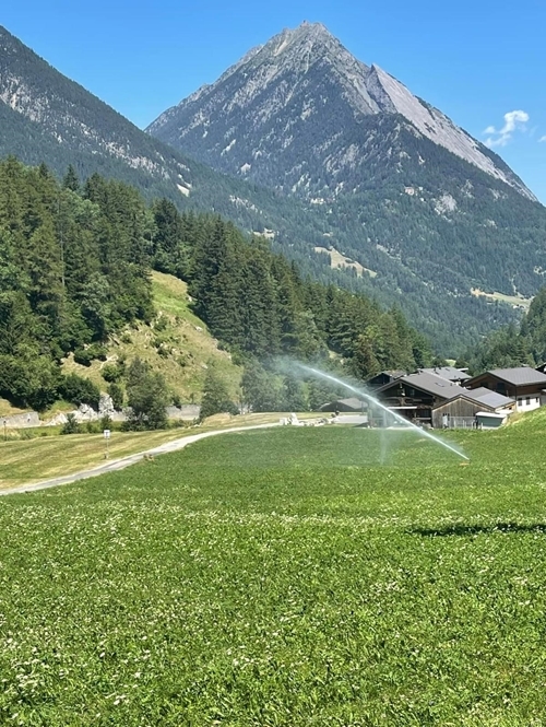 Whats App Image 2023-07-11 At 17.58.15 Whats App Image 2023-07-11 At 17.58.15