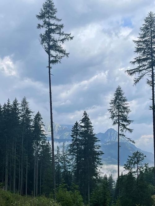 Whats App Image 2023-07-12 At 20.16.01 Whats App Image 2023-07-12 At 20.16.01