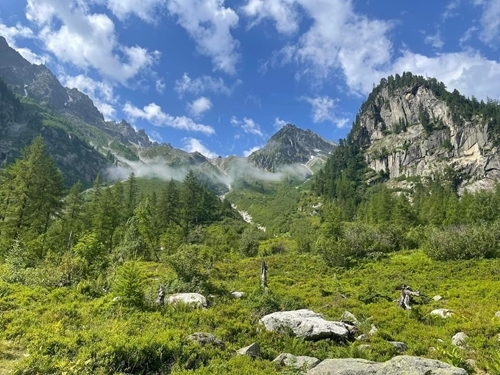 Whats App Image 2023-07-12 At 20.17.17 Whats App Image 2023-07-12 At 20.17.17