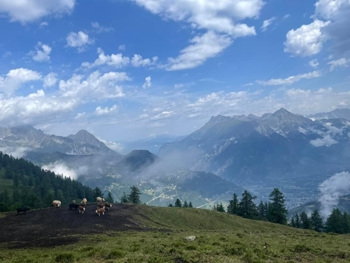 Whats App Image 2023-07-12 At 20.18.23 Whats App Image 2023-07-12 At 20.18.23