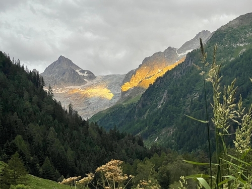 Whats App Image 2023-07-12 At 20.25.15 Whats App Image 2023-07-12 At 20.25.15