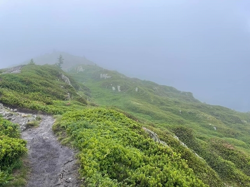 Whats App Image 2023-07-13 At 12.47.53 Whats App Image 2023-07-13 At 12.47.53