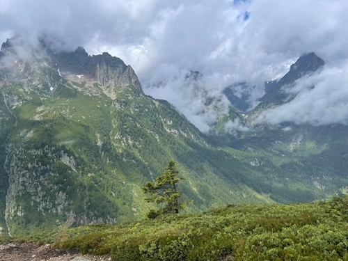 Whats App Image 2023-07-13 At 12.48.49 Whats App Image 2023-07-13 At 12.48.49