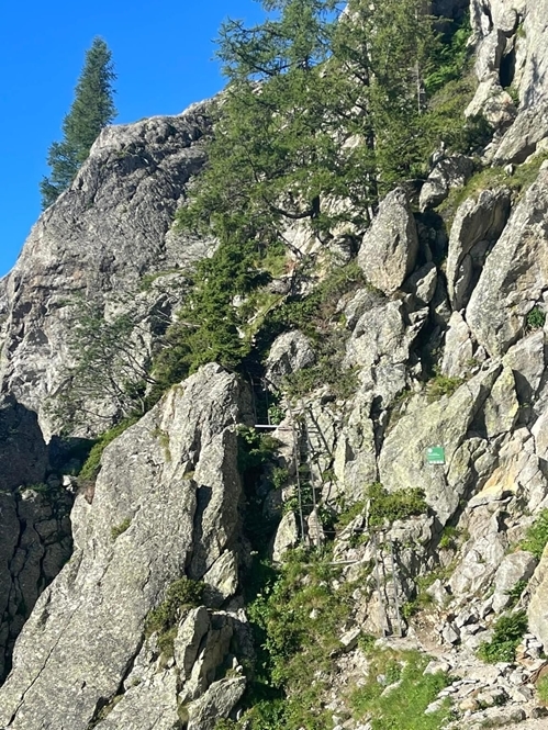 Whats App Image 2023-07-18 At 09.53.31