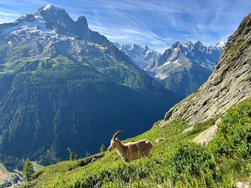 Whats App Image 2023-07-18 At 09.55.46