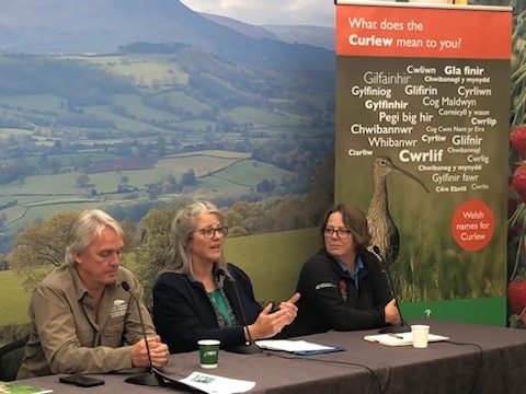 IMG_20230731_181949 IMG_20230731_181949