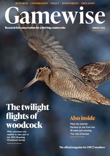 Gamewise Spring 2023