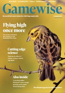 Gamewise Summer 2023