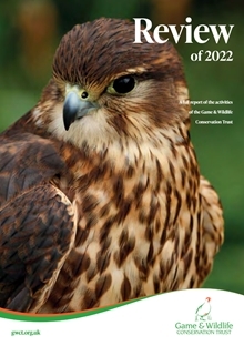 Annual Review 2022