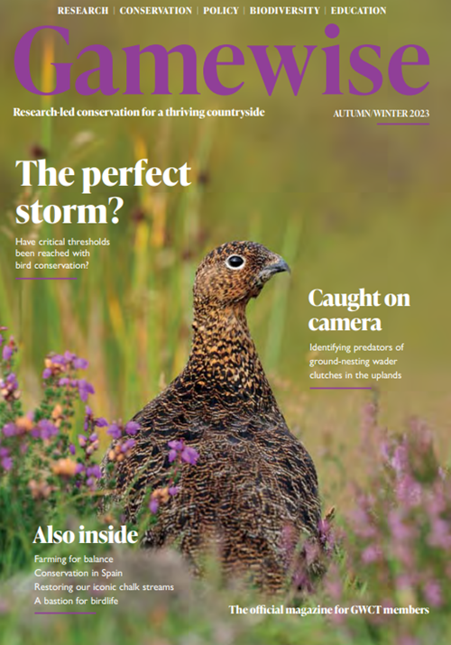 Screenshot 2023-10-17 155049