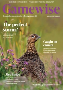 Gamewise Autumn 2023