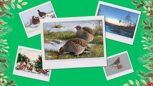 Bestselling Xmas Cards