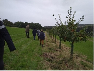 Agroforestry Workshop