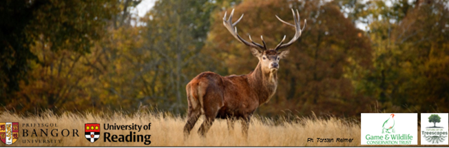 Screenshot 2024-01-24 091900