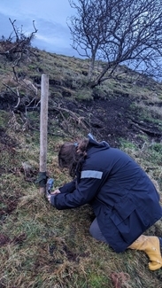 Checking trail camera