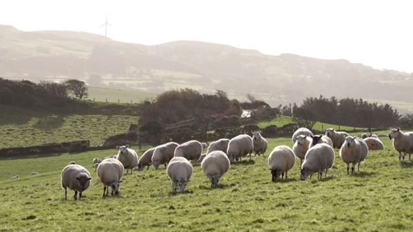 C 28ff 05b -9718-5f 12-ff 6d -2c 5cfbc 86432 C 28ff 05b -9718-5f 12-ff 6d -2c 5cfbc 86432