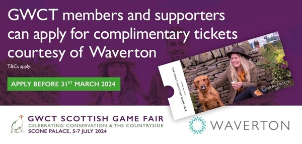 WAVERTON_630 X 300 Px WAVERTON_630 X 300 Px