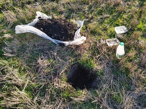 The arable/pastural field scorecard involved counting the number of earthworms found in test pits (Credit Fiona Torrance)