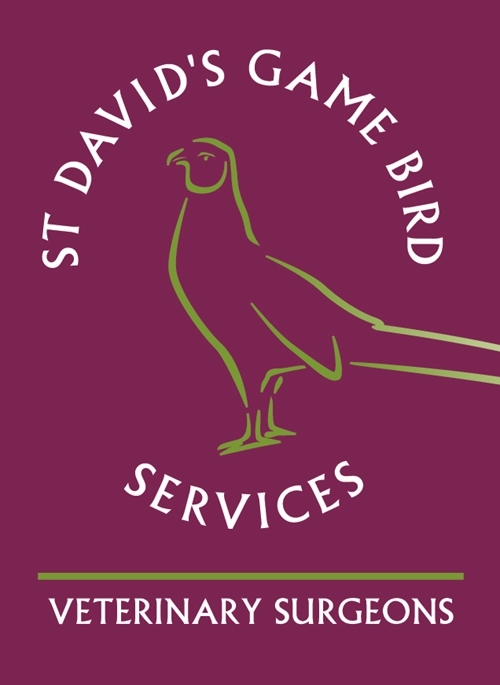 Game Bird Logo _CMYK[45824]