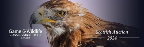 Scottish Auction Banner