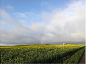 Balgonie rainbow