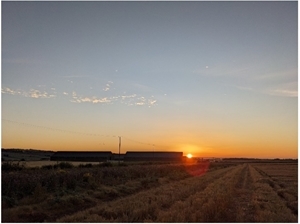 Balgonie sunset Balgonie sunset