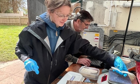 Sophie And Bill April 24 Sophie And Bill April 24