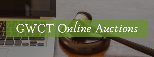 Online Auctions Header Online Auctions Header